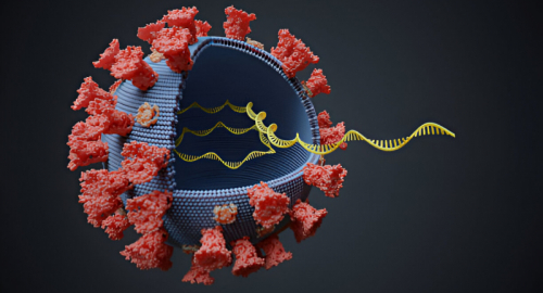 Interactoma dell'RNA Virale: Guida alle Interazioni RNA-Proteina nei Virus